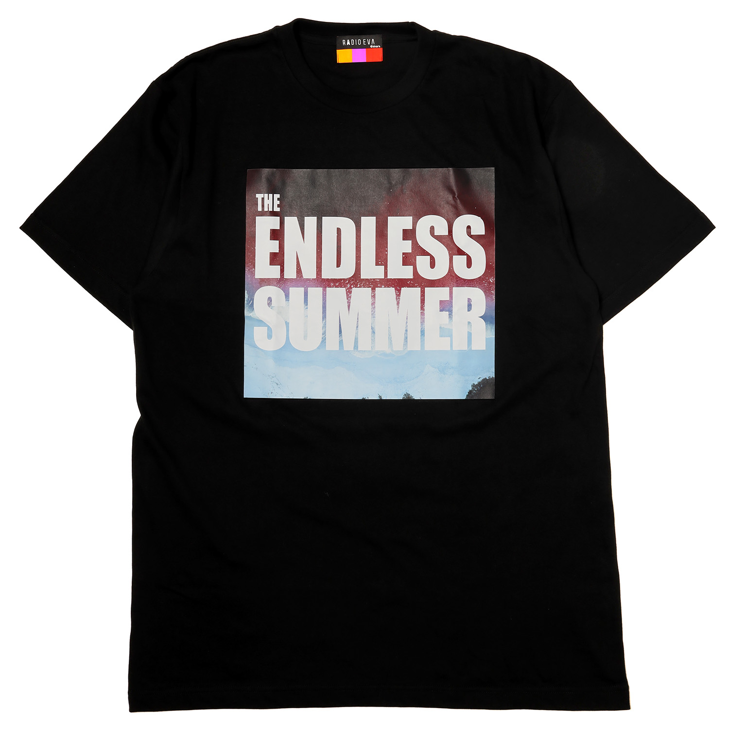 RADIO EVA A222 THE ENDLESS SUMMER T-Shirt/BLACK(M　BLACK): ファッション |  EVANGELION STORE オンライン