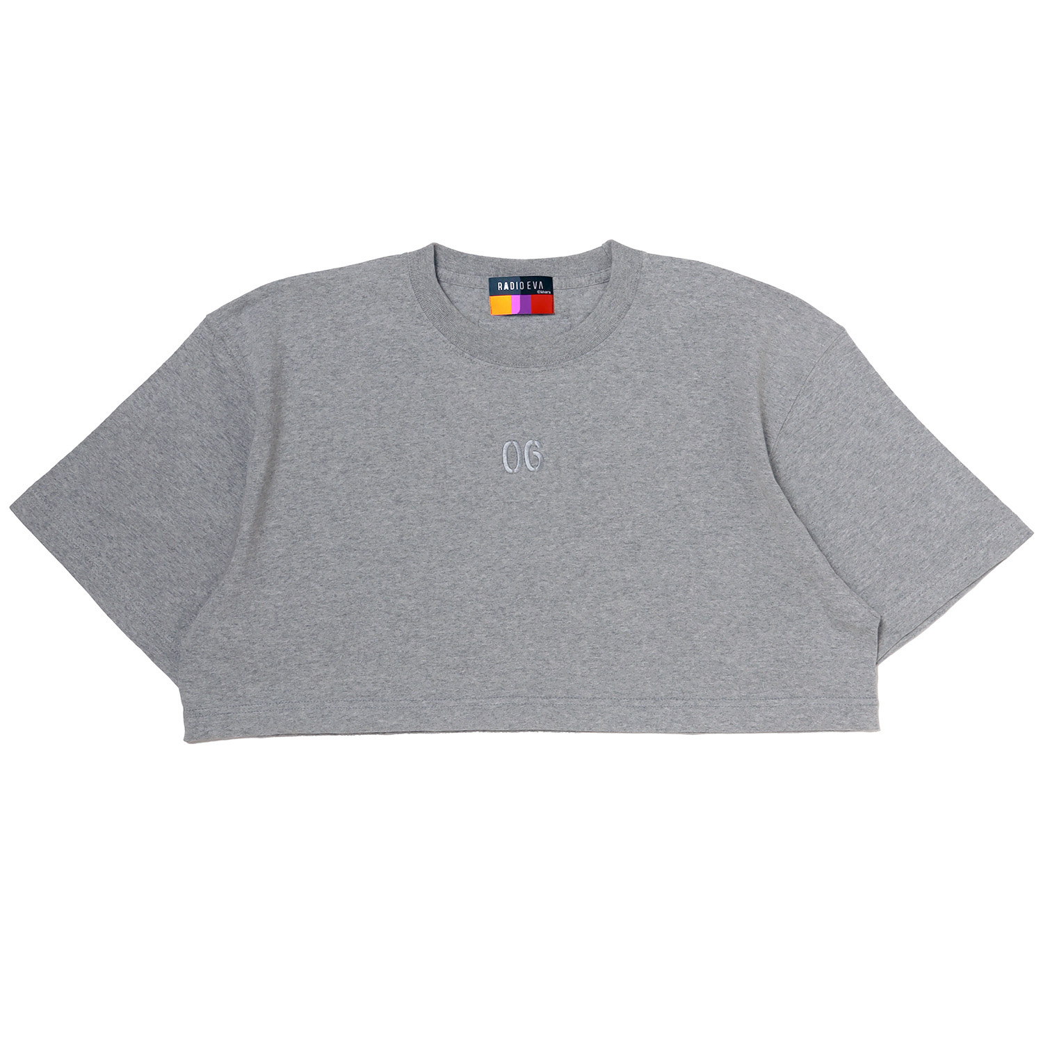 RADIO EVA A228 EVANGELION Numbering Cropped T-Shirt/GRAY(06)